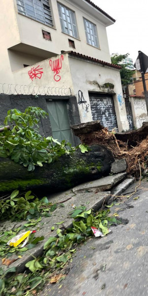 Equipes da Prefeitura ainda trabalham nos impactos causados pela chuva e vento de segunda-feira