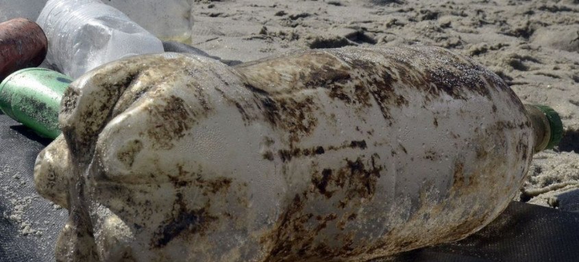 Objetivo é estimular diálogo sobre relações com o meio ambiente
- Foto: Arquivo/Fernando Fraz..o/Ag..ncia Brasil Objetivo é estimular diálogo sobre relações com o meio ambiente