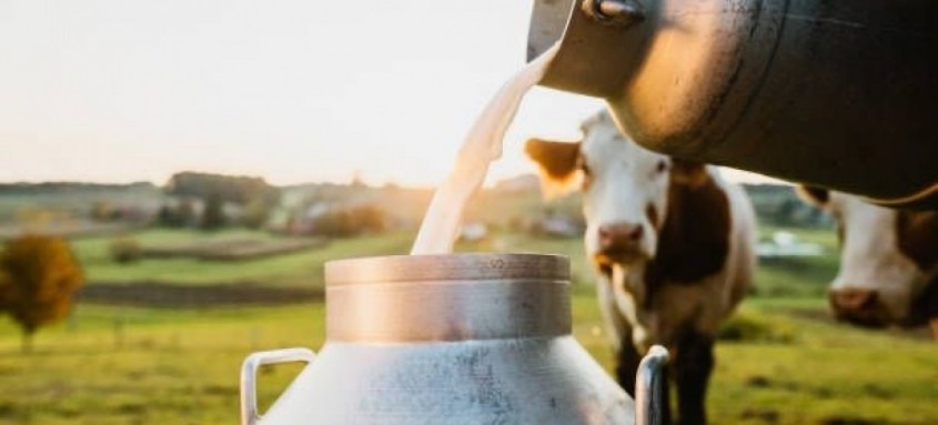 O Rio Leite visa o aumento da produção e da qualidade do leite através do estímulo aos produtores