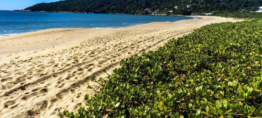 Programa é premiação internacional para praias, marinas e embarcações
- Foto: Prefeitura de Balneário Caamboriú Programa é premiação internacional para praias, marinas e embarcações