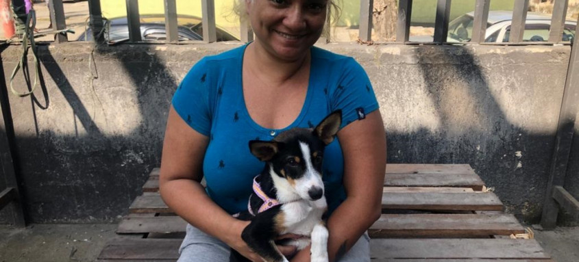 Ônibus adaptado para o procedimento veterinário estacionou na sede de uns mais antigos times do RJ - Foto: RJPET Ônibus adaptado para o procedimento veterinário estacionou na sede de uns mais antigos times do RJ