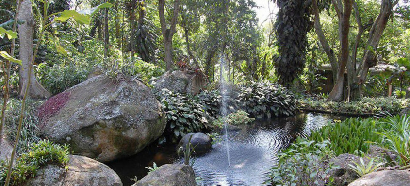 Sítio Roberto Burle Marx, um legado para a humanidade