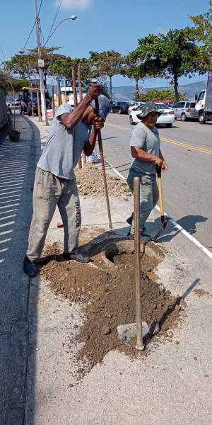 Plantio será feito em calçada sem nenhuma árvore e que será transformada em uma referência de arborização na cidade - Foto: Divulgação Plantio será feito em calçada sem nenhuma árvore e que será transformada em uma referência de arborização na cidade