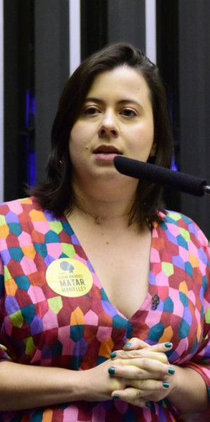 Cleia Viana/Câmara dos Deputados