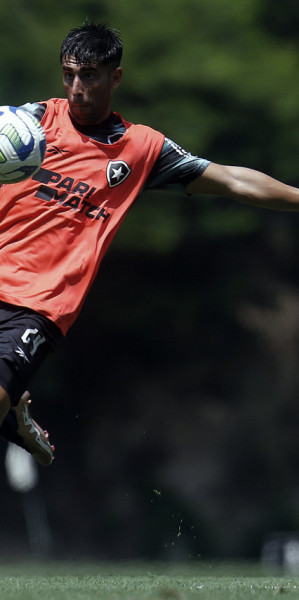 Vitor Silva / Botafogo
