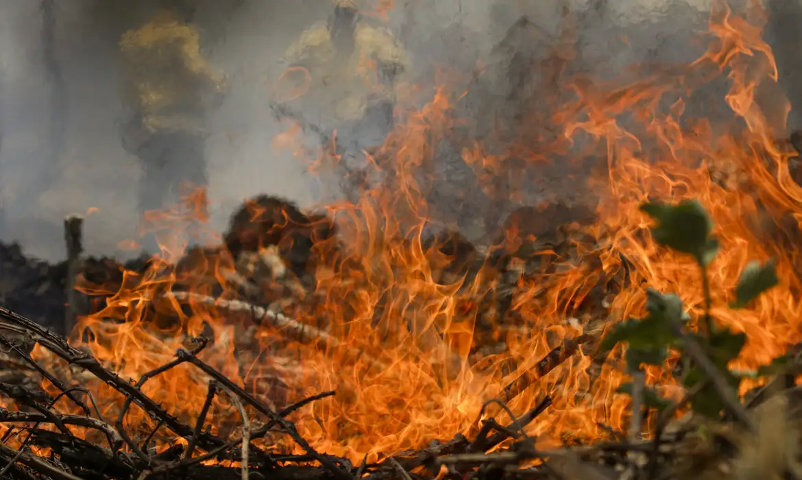 Pantanal tem mais de 3 mil incêndios em novembro