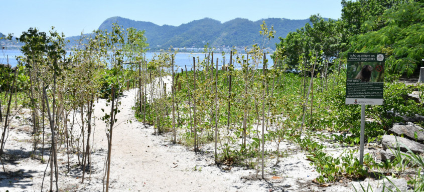 A previsão é de que o parque seja aberto para visitação em março
- Foto: Bruno Eduardo Alves / Prefeitura de Niterói A previsão é de que o parque seja aberto para visitação em março