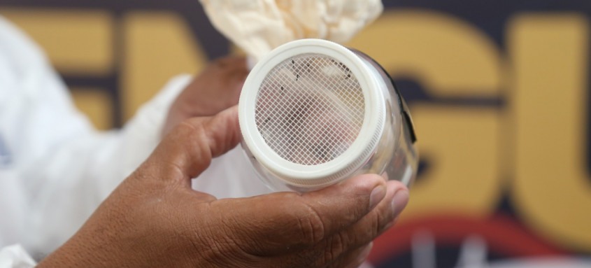 Com número de casos em queda em todas as regiões fluminenses por mais de quatro semanas consecutivas, Governo do Rio decreta o fim da epidemia de Dengue no estado - Foto: Mauricio Bazilio/SES-RJ Com número de casos em queda em todas as regiões fluminenses por mais de quatro semanas consecutivas, Governo do Rio decreta o fim da epidemia de Dengue no estado