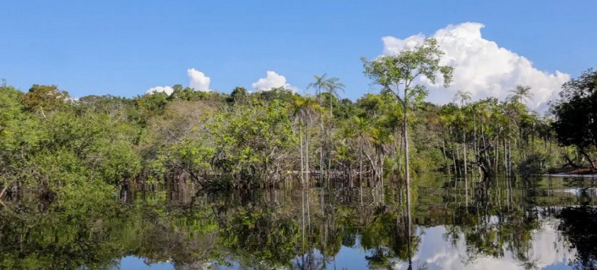 Cientistas desenvolvem tecnologia para desvendar florestas tropicais
- Foto: Fabio Rodrigues-Pozzebom/Agência Brasil Cientistas desenvolvem tecnologia para desvendar florestas tropicais