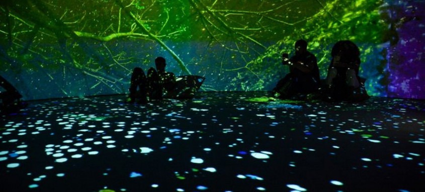 Obra Sumaúma: Copa, Casa, Cosmos, no Museu do Jardim Botânico