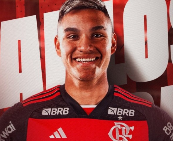 Divulgação