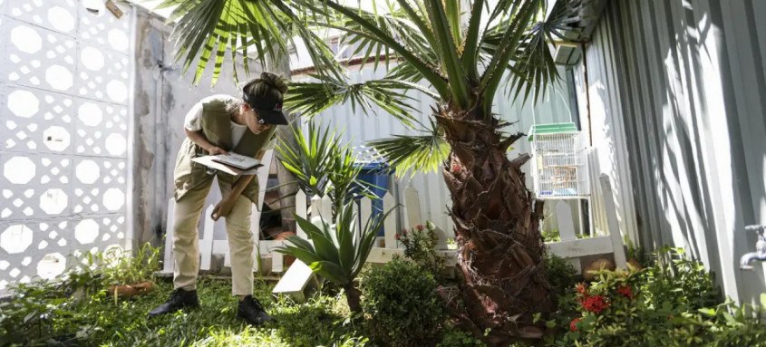 Estudo explica quais os aspectos que motivam ou dificultam a adoção de práticas de prevenção ao Aedes aegypti - Foto: Marcelo Camargo/Agência Brasil Estudo explica quais os aspectos que motivam ou dificultam a adoção de práticas de prevenção ao Aedes aegypti