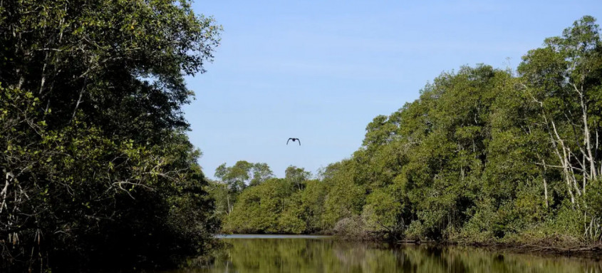 Brasil está entre os cinco países do G20 com iniciativas de proteção ambiental que abrangem as maiores proporções de seus territórios - Foto: Tânia Rêgo/Agência Brasil Brasil está entre os cinco países do G20 com iniciativas de proteção ambiental que abrangem as maiores proporções de seus territórios