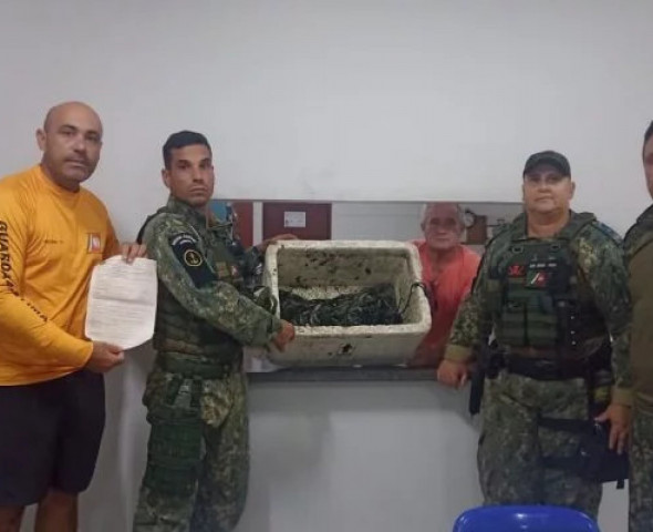 Divulgação