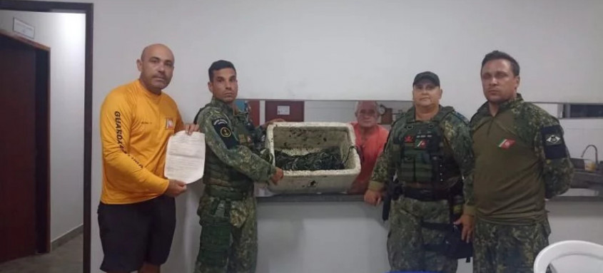 Primeira apreensão do ano aconteceu na Praia do Siqueira; camarões foram doados ao Lar da Cidinha - Foto: Divulgação Primeira apreensão do ano aconteceu na Praia do Siqueira; camarões foram doados ao Lar da Cidinha