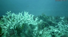  UFPE