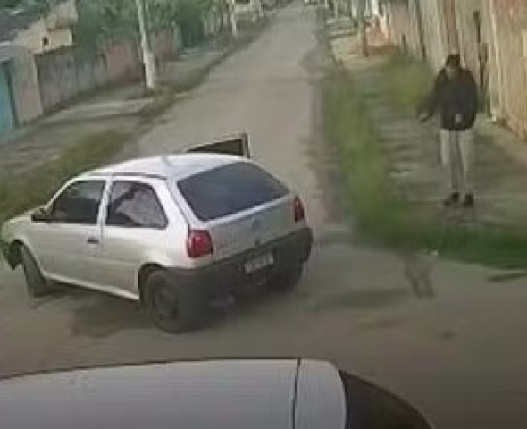  Reprodução