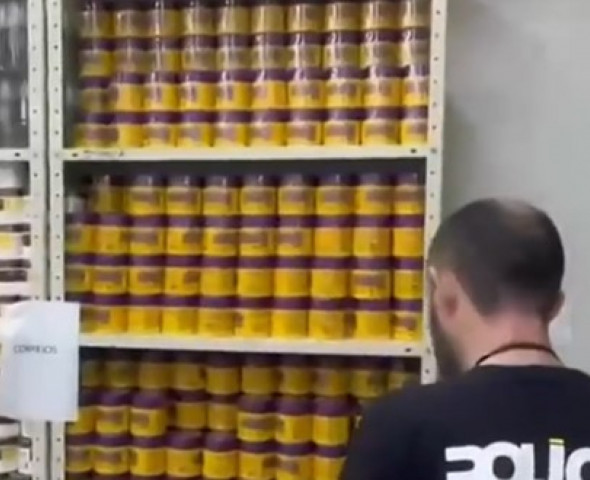 Reprodução.
