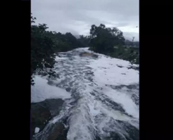 Reprodução.