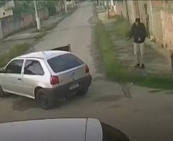 Reprodução.