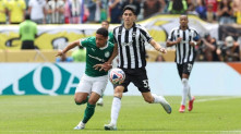 Cesar Greco/Palmeiras
