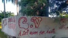 Reprodução. 