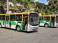 Ônibus com pintura da Seleção se despedem das ruas de Teresópolis