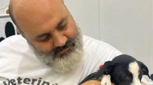 Reprodução.