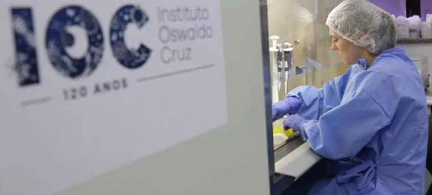 Divulgação/Josué Damacena (IOC/Fiocruz)