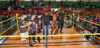 Divulgação